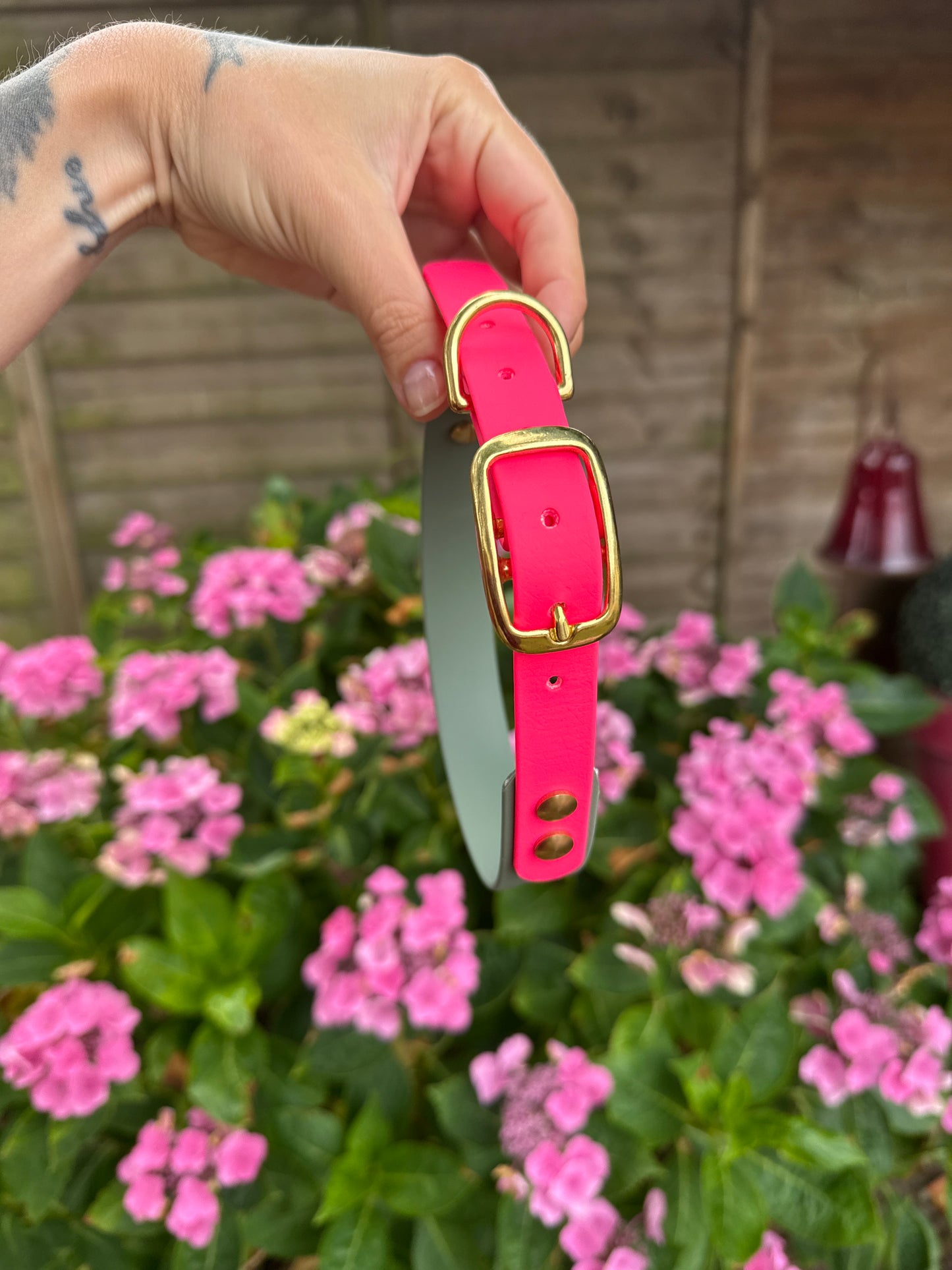Collier Duo en Biothane- Rose néon & vert sauge