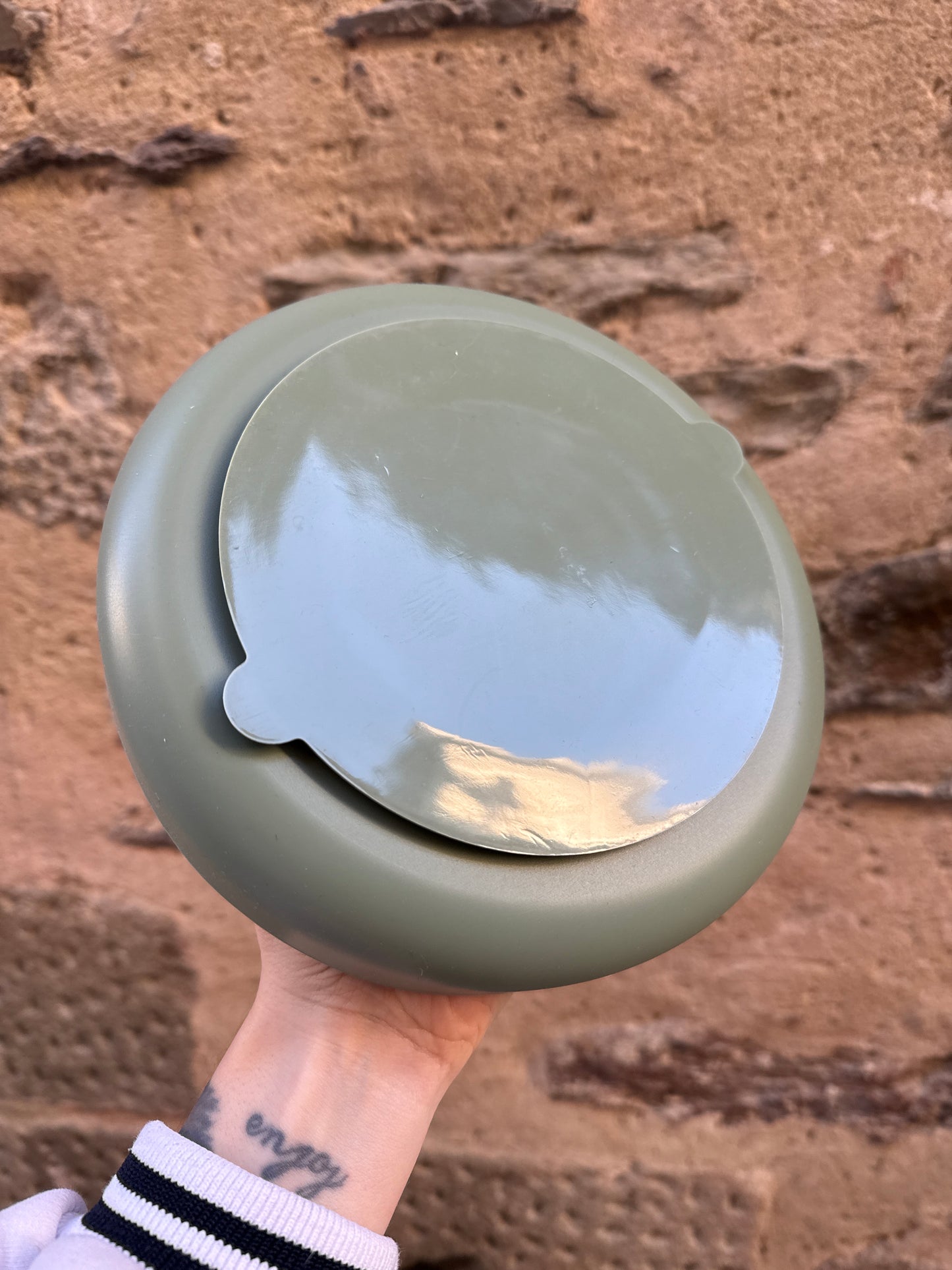 Tapis de léchage cactus