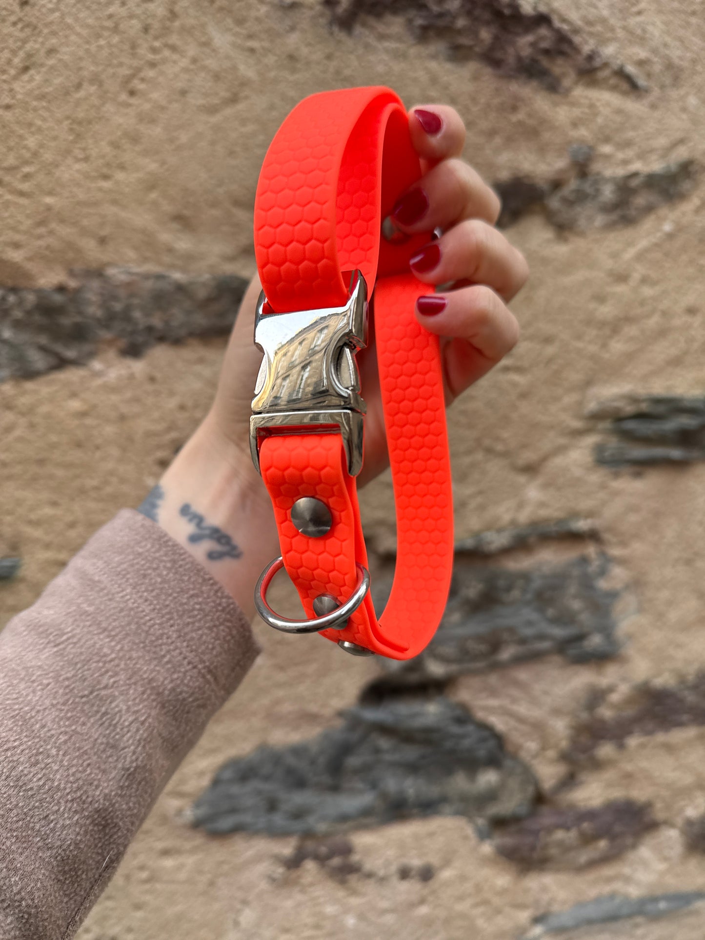 Collier Waterproof en Hexa 20mm pour chien