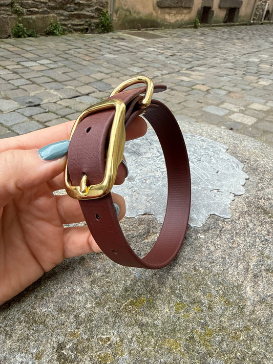 Collier pour chien évolutif -Biothane- laiton massif