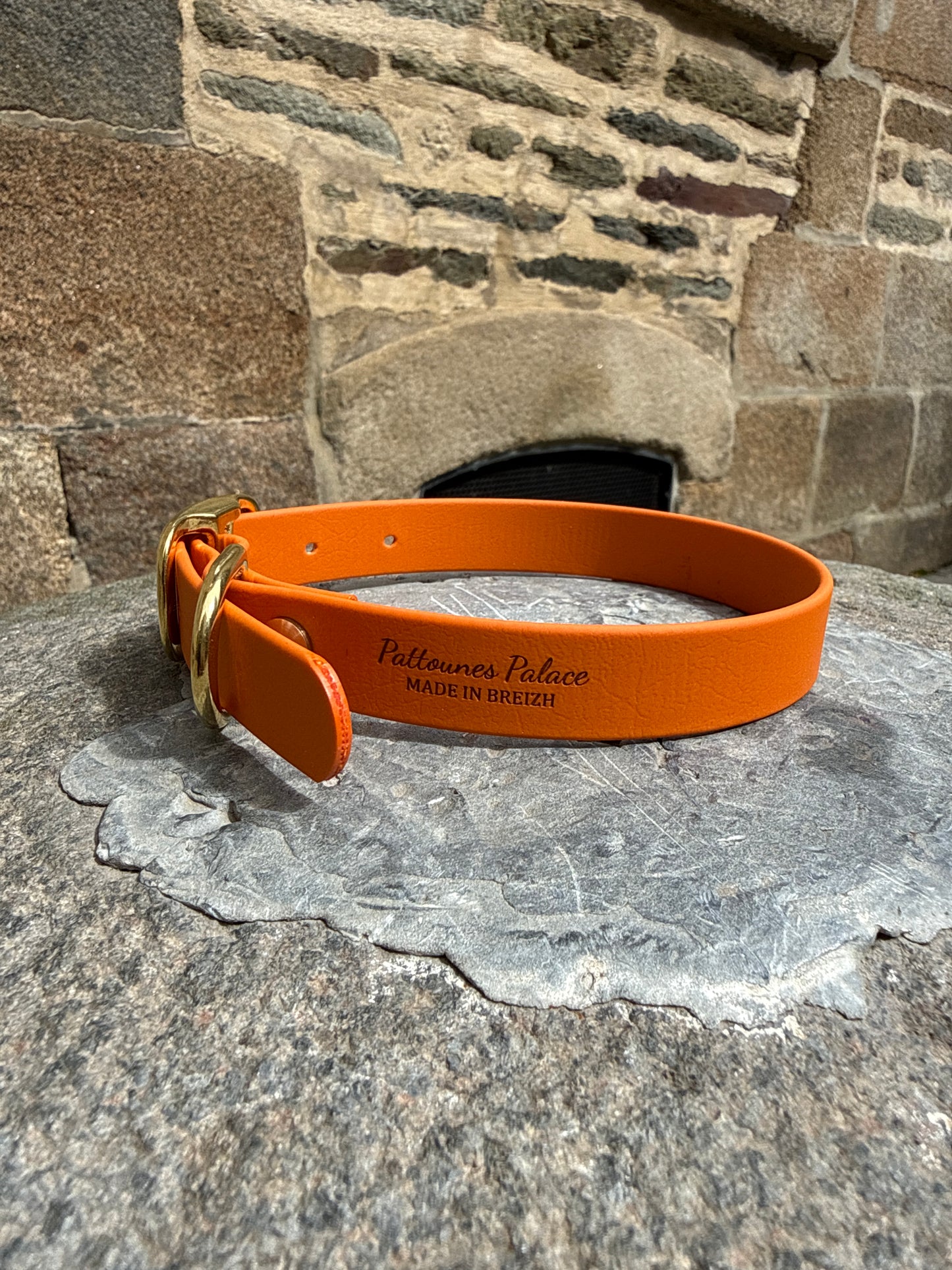 Collier pour chien évolutif -Biothane- laiton massif