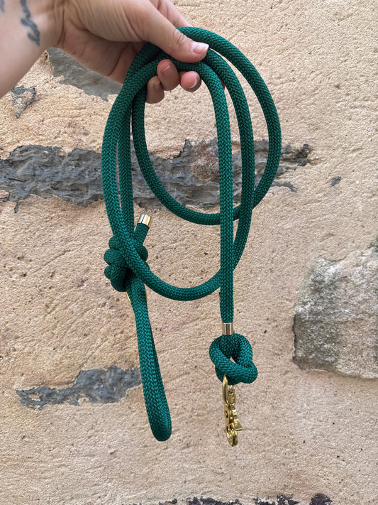 Laisse essentielle - Paracorde - Vert émeraude