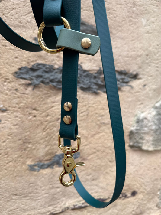 Laisse kit main libre-Biothane- vert sapin et vert sauge