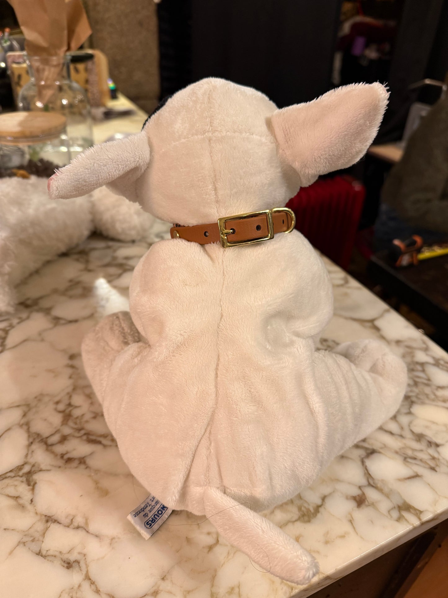 Ensemble Laisse Kit Main Libre & Collier Léopard - Petit chien