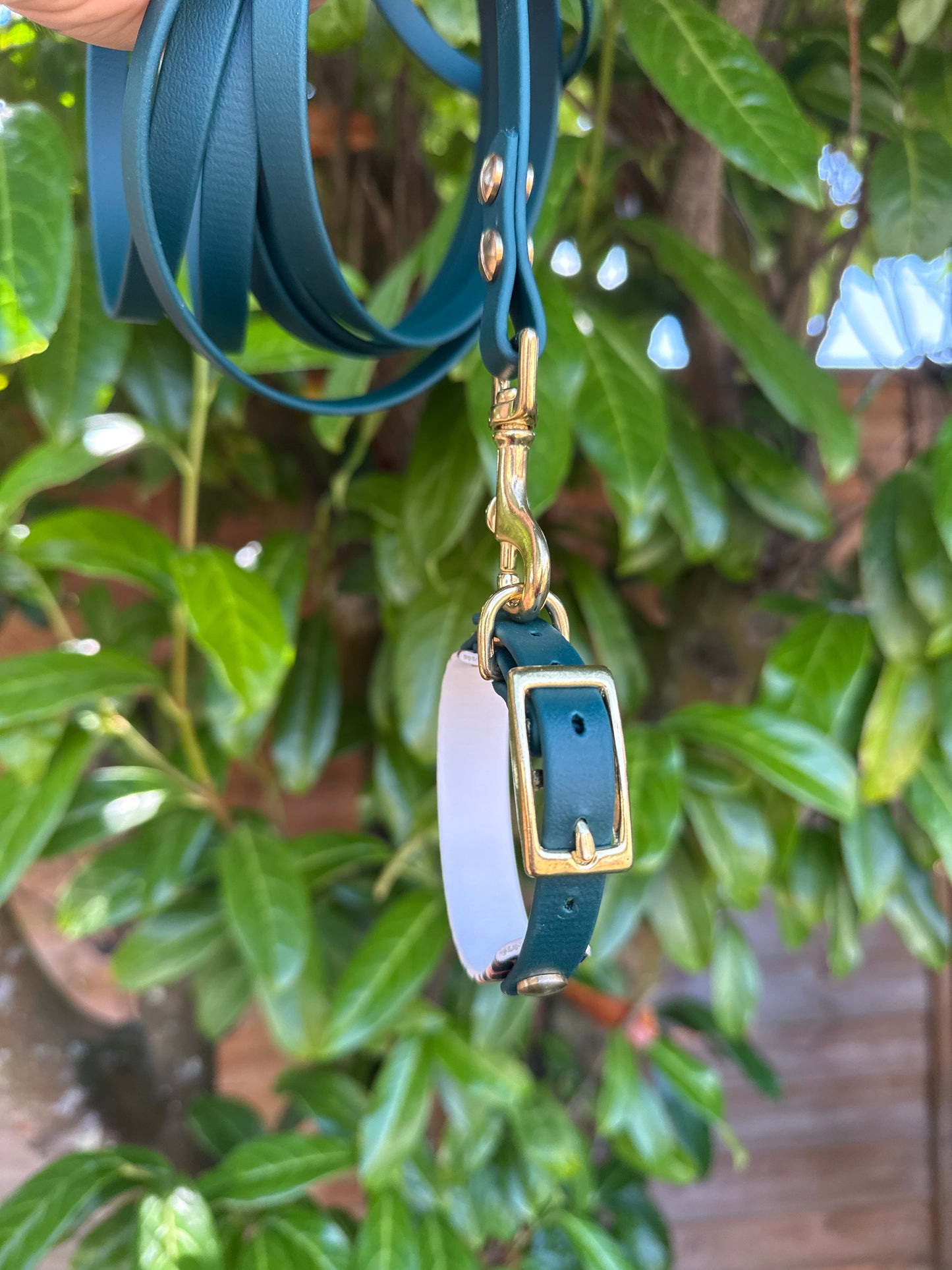 Collier Duo Mini -Biothane vert sapin & léopard