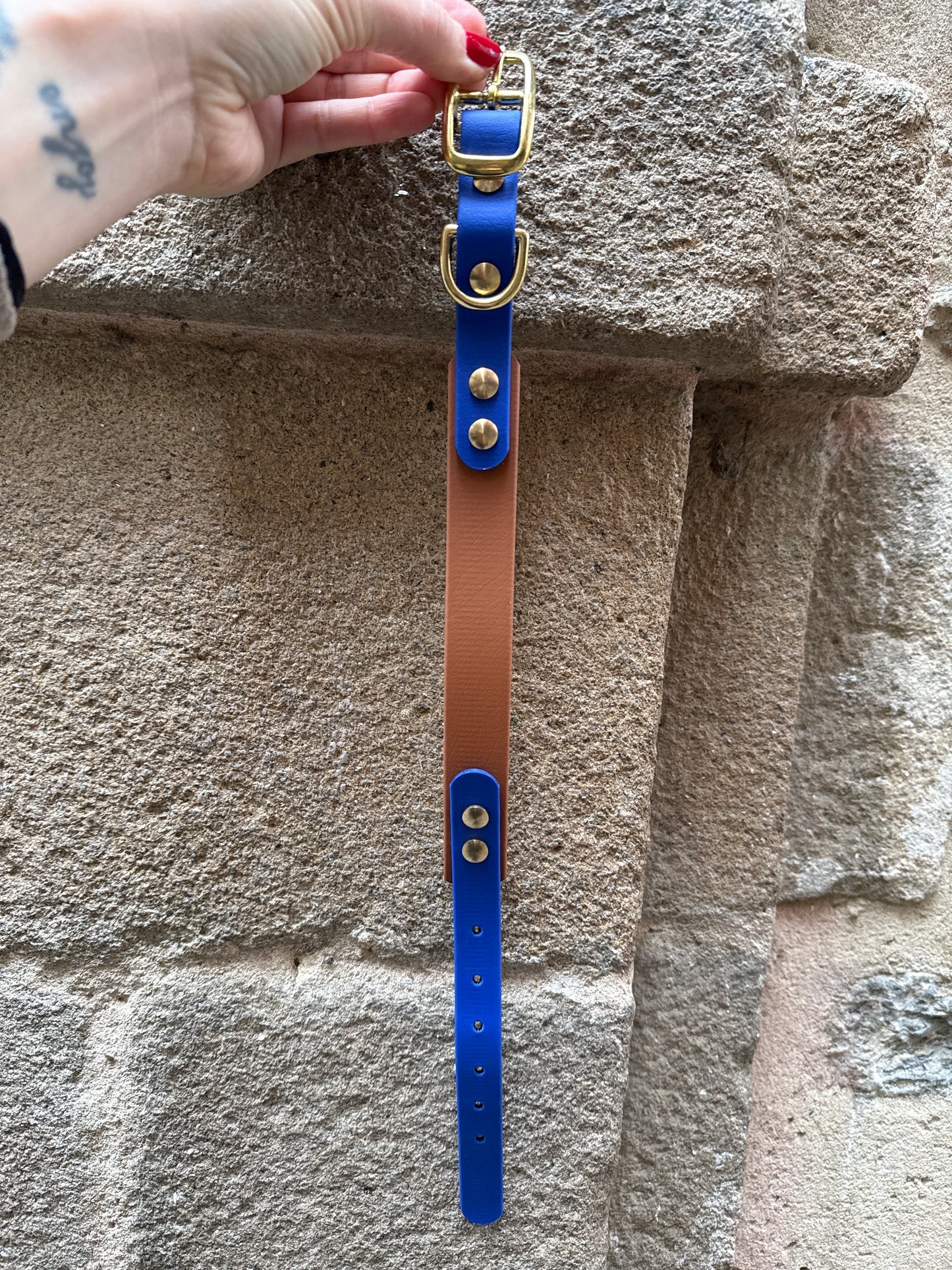 Collier Biothane - Camel & Bleu roi
