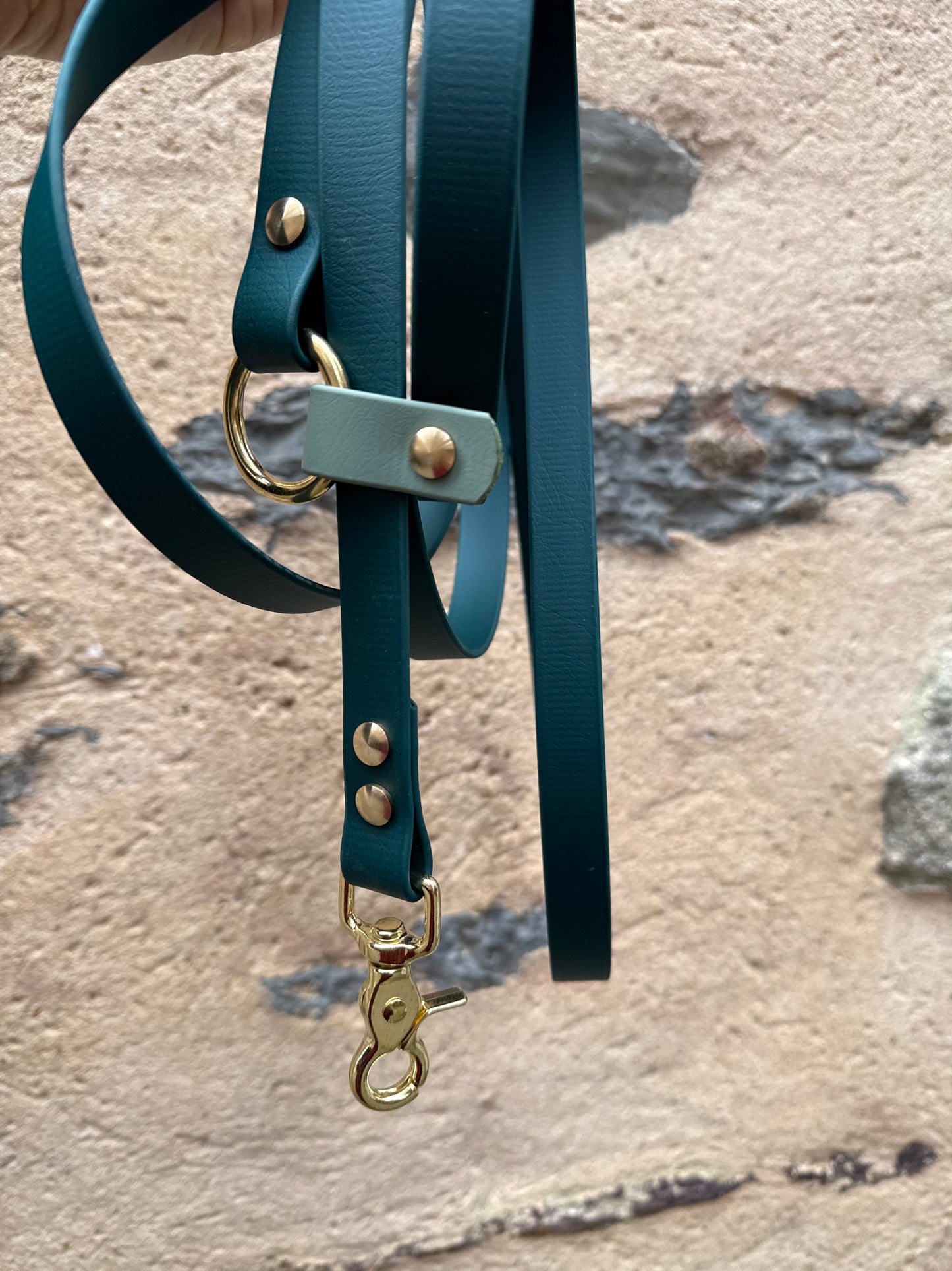 Laisse kit main libre-Biothane- vert sapin et vert sauge