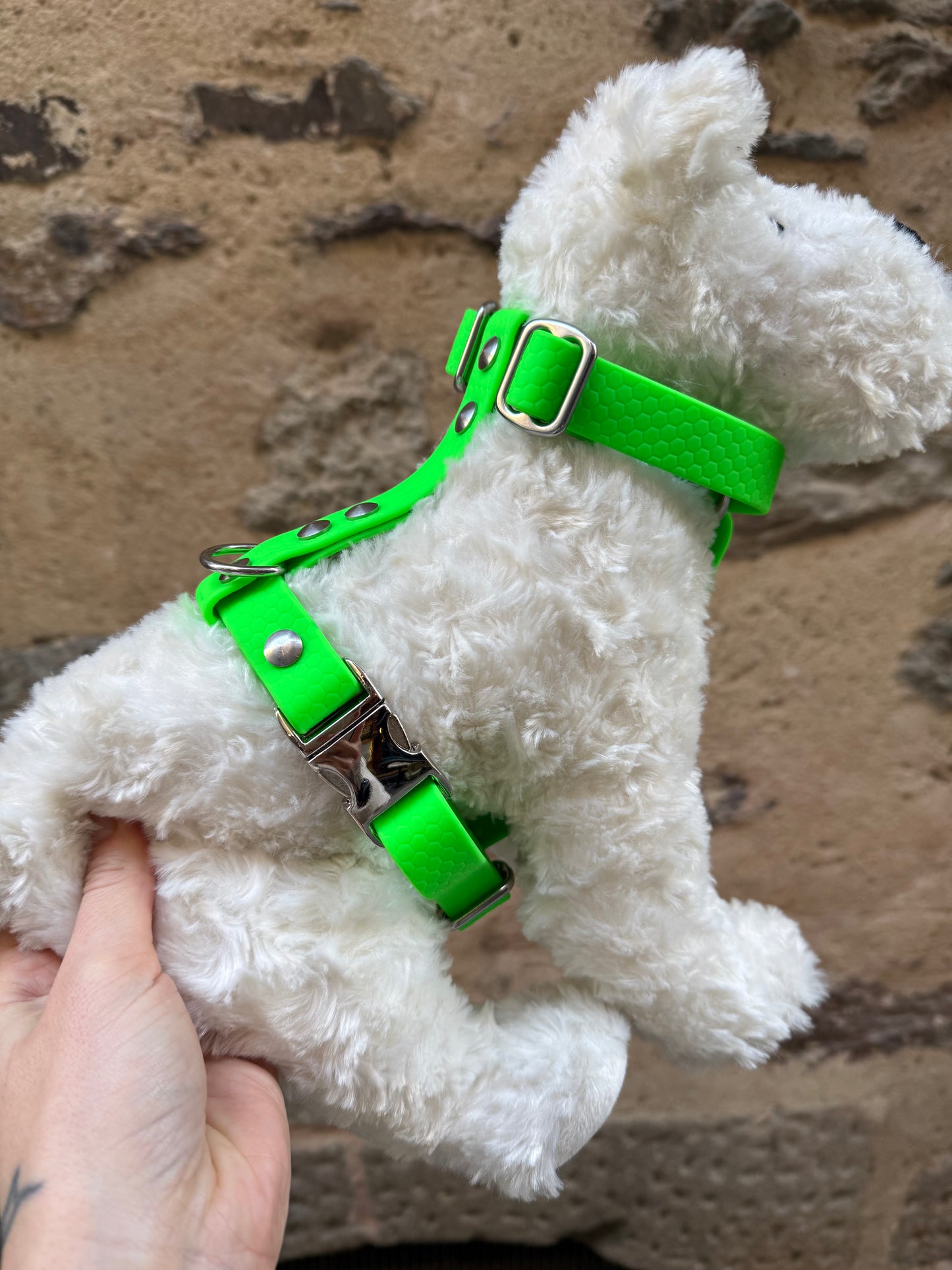 Harnais waterproof pour chien