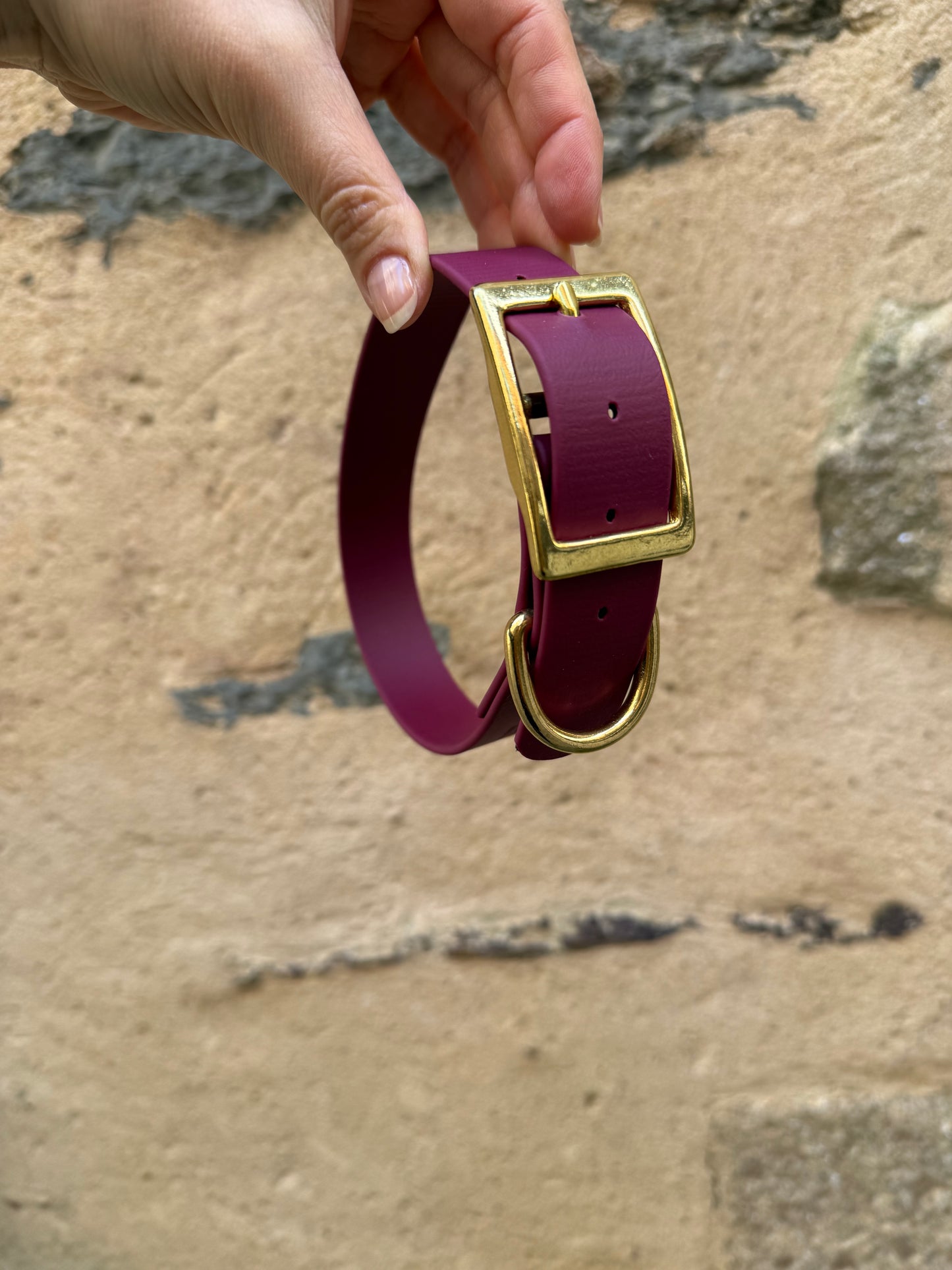 Collier essentiel évolutif -Biothane- lie de vin