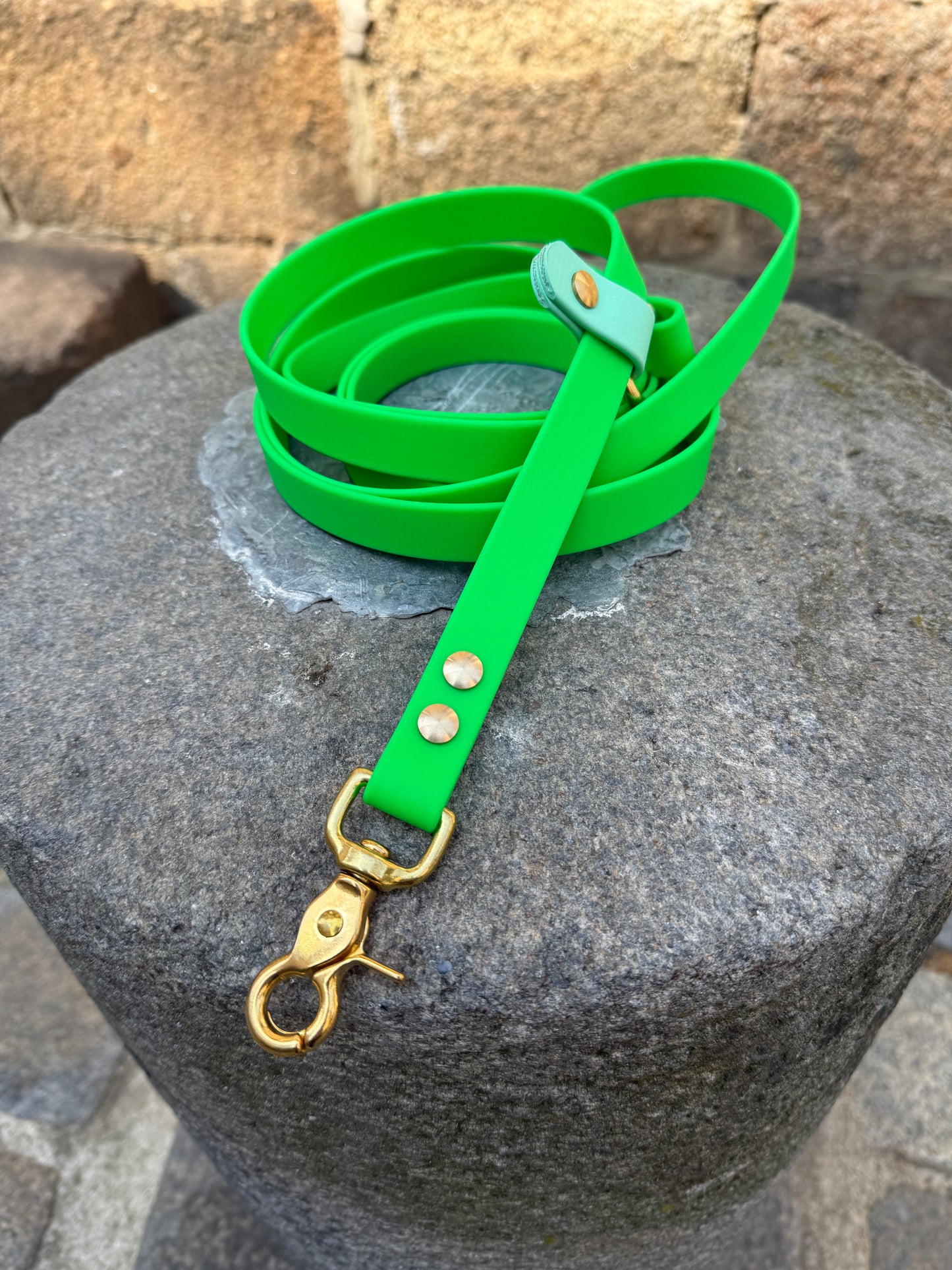 Laisse kit main libre - Biothane - vert néon et caraïbe