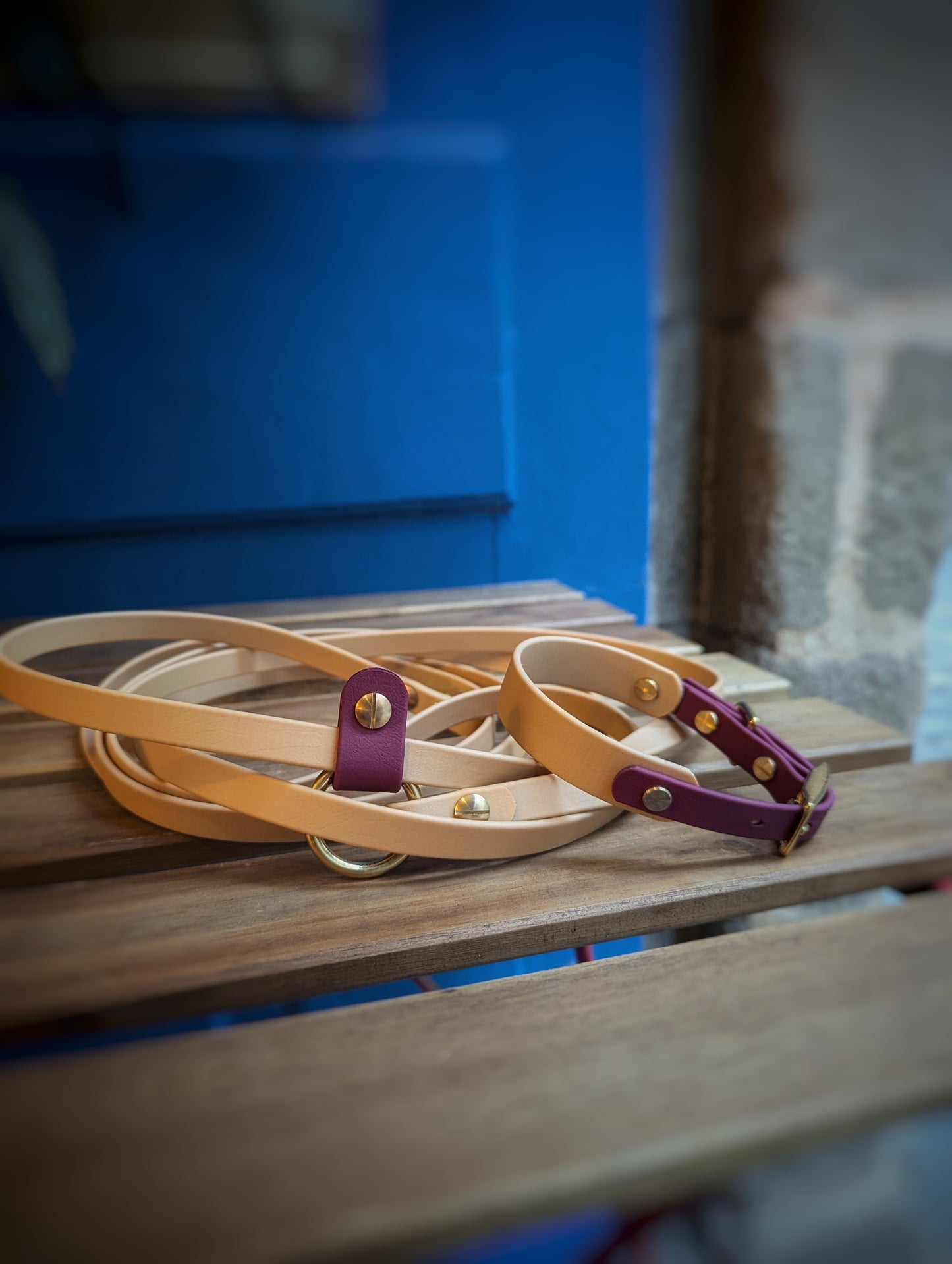 Ensemble Laisse Kit Main Libre & Collier Or Light - Lie de Vin - Petit chien