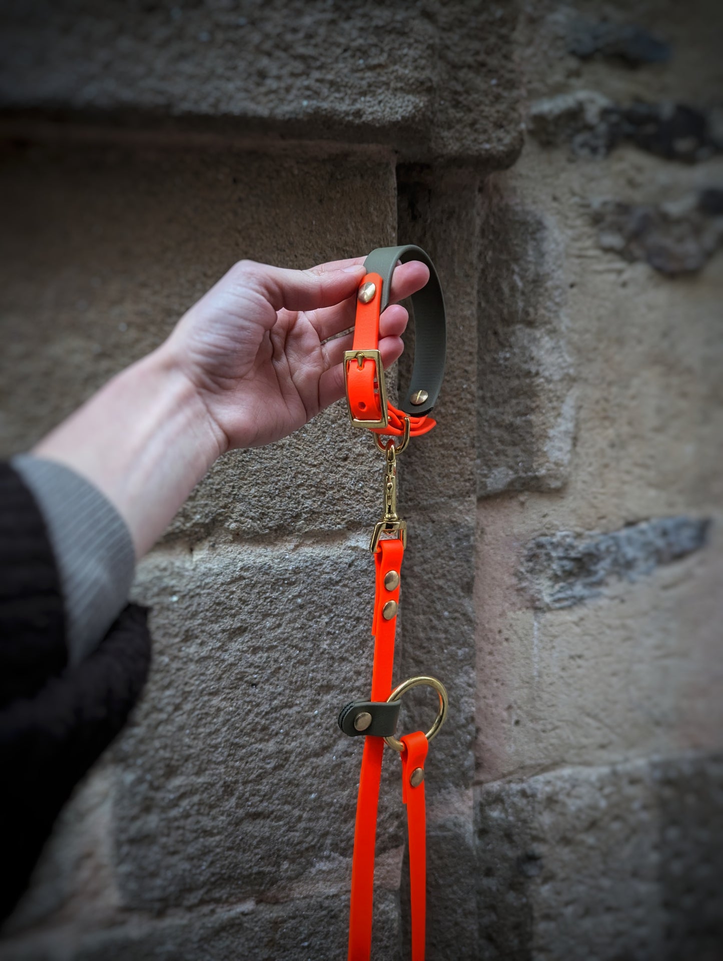 Ensemble Laisse Kit Main Libre & Collier Kaki / Orange Néon - Petit chien