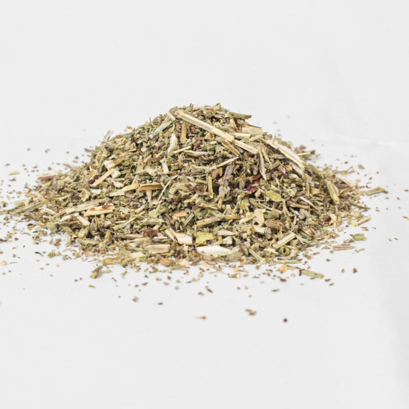 Herbes à chat - Cataire - Evident