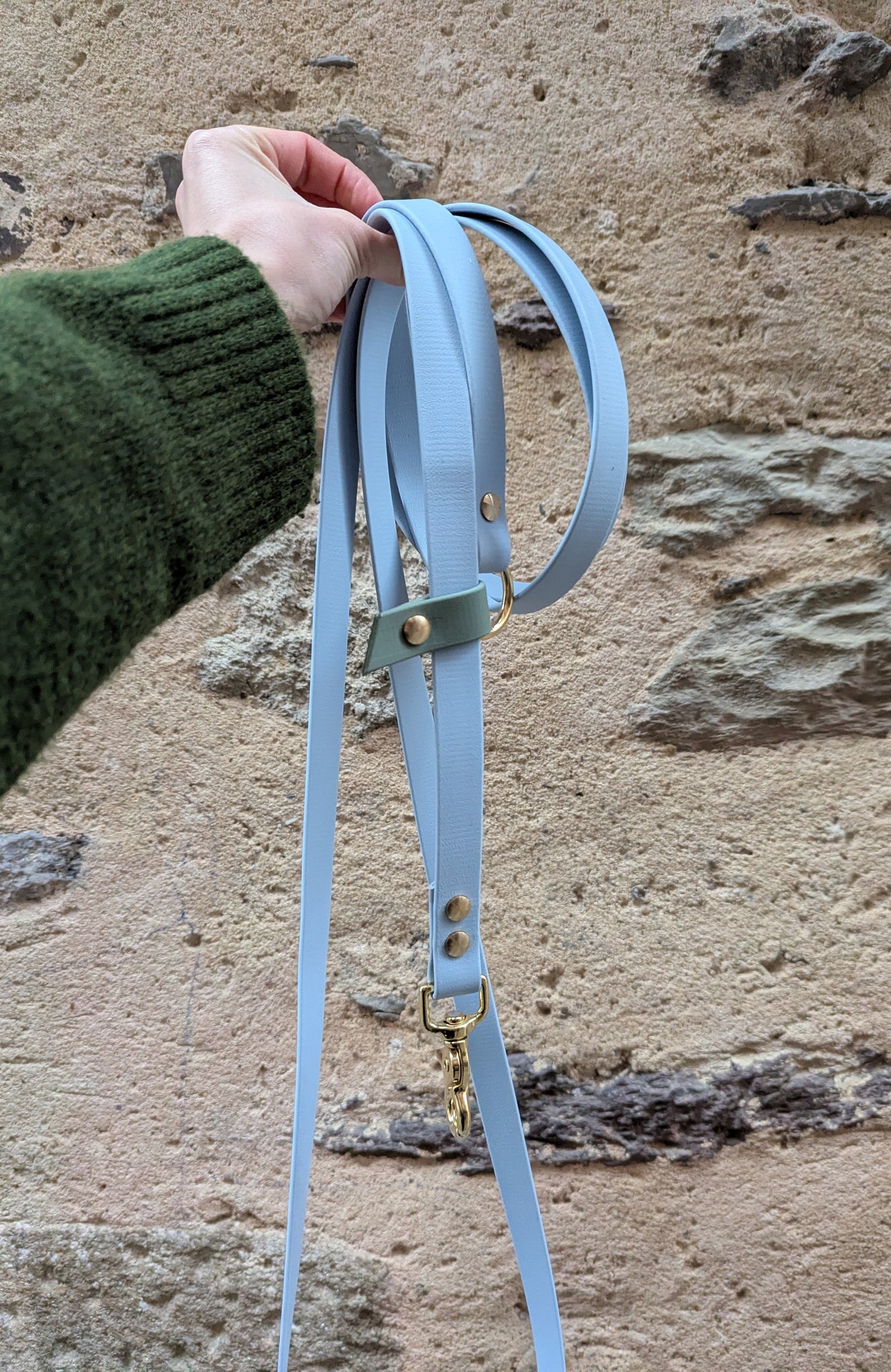 Laisse kit main libre - Bleu ciel & Vert sauge 2,5m en Biothane