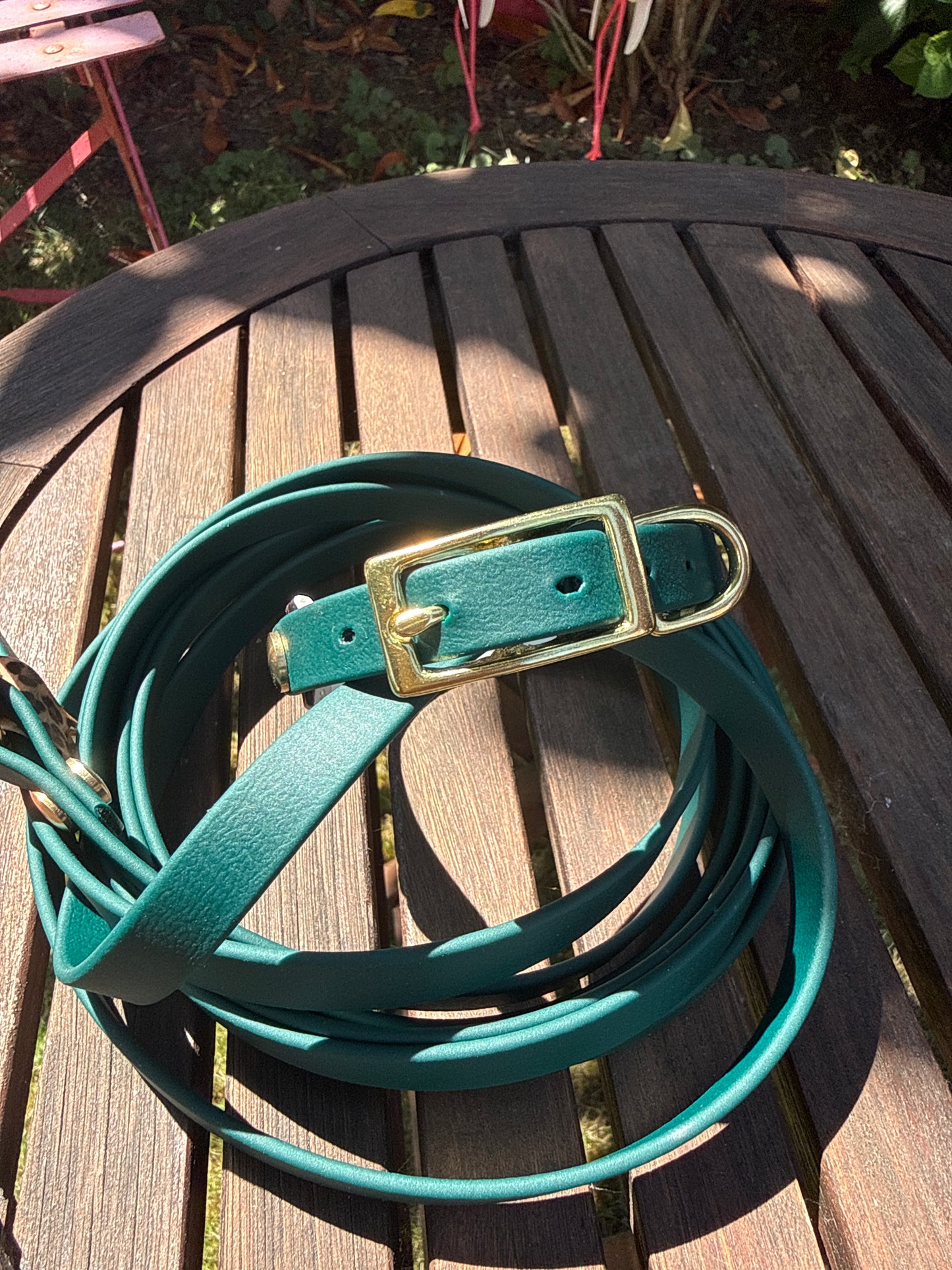 Collier Duo Mini -Biothane vert sapin & léopard