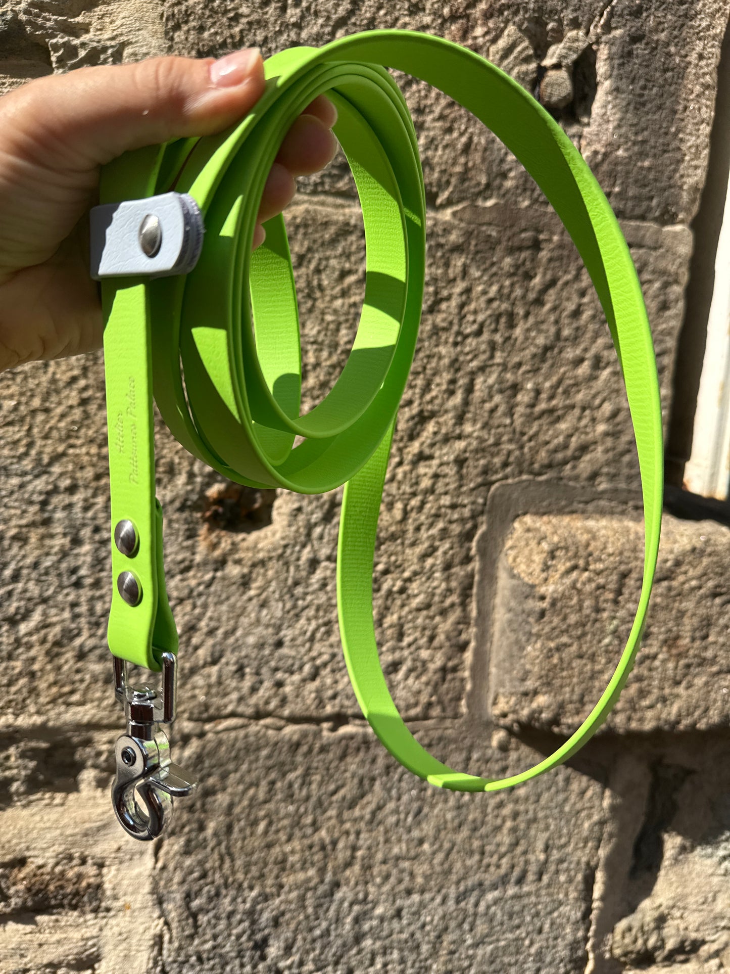 Laisse kit main libre -Biothane- Vert pomme et Bleu pastel