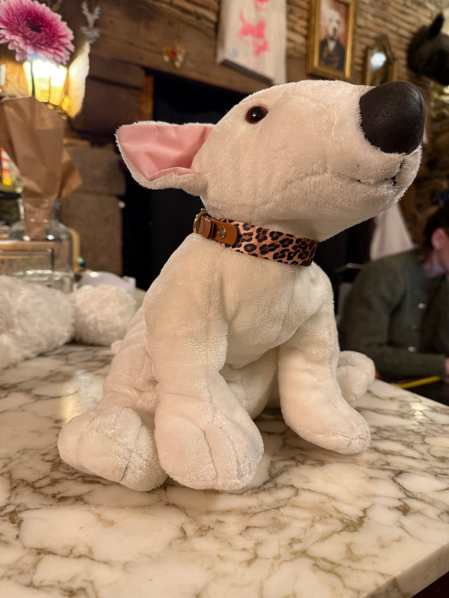 Ensemble Laisse Kit Main Libre & Collier Léopard - Petit chien