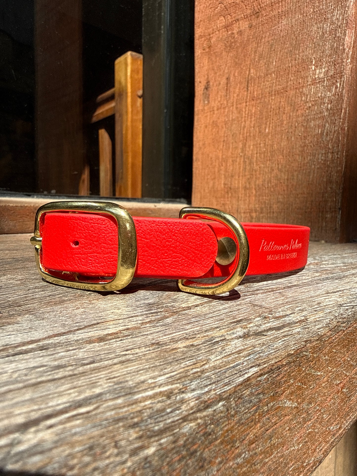 Collier pour chien évolutif -Biothane- laiton massif