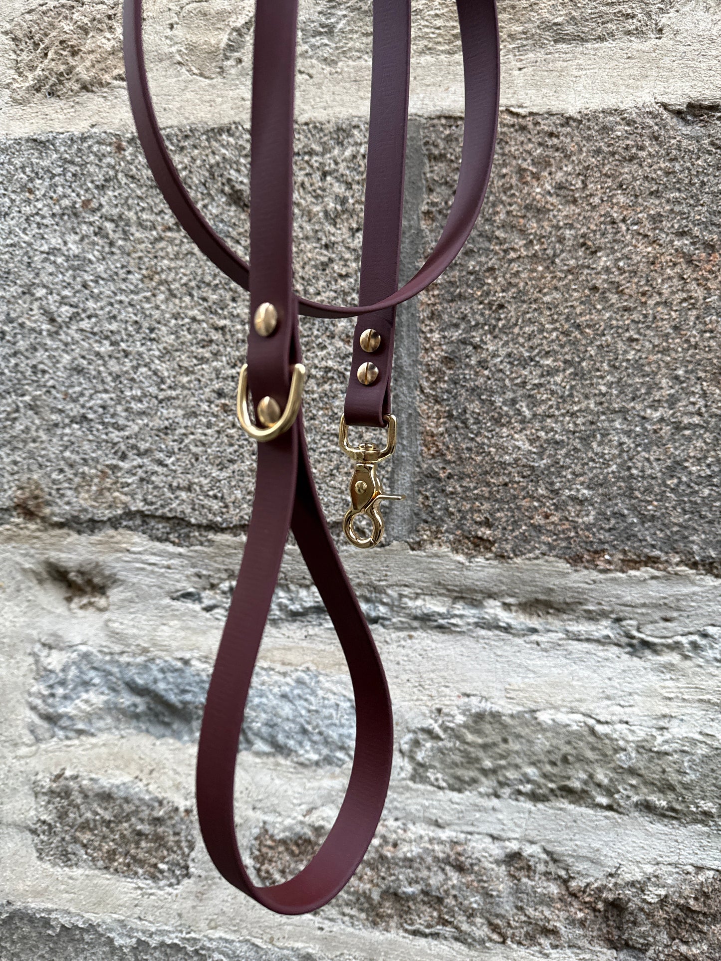 Laisse Essentielle chocolat en Biothane