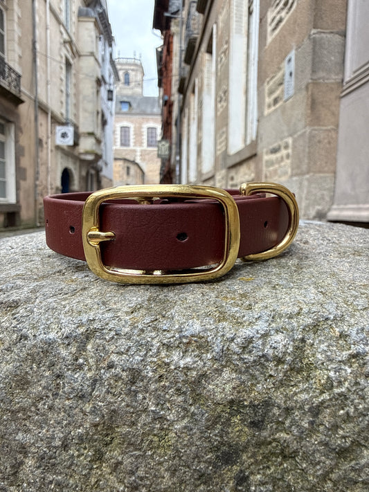 Collier pour chien évolutif -Biothane- laiton massif