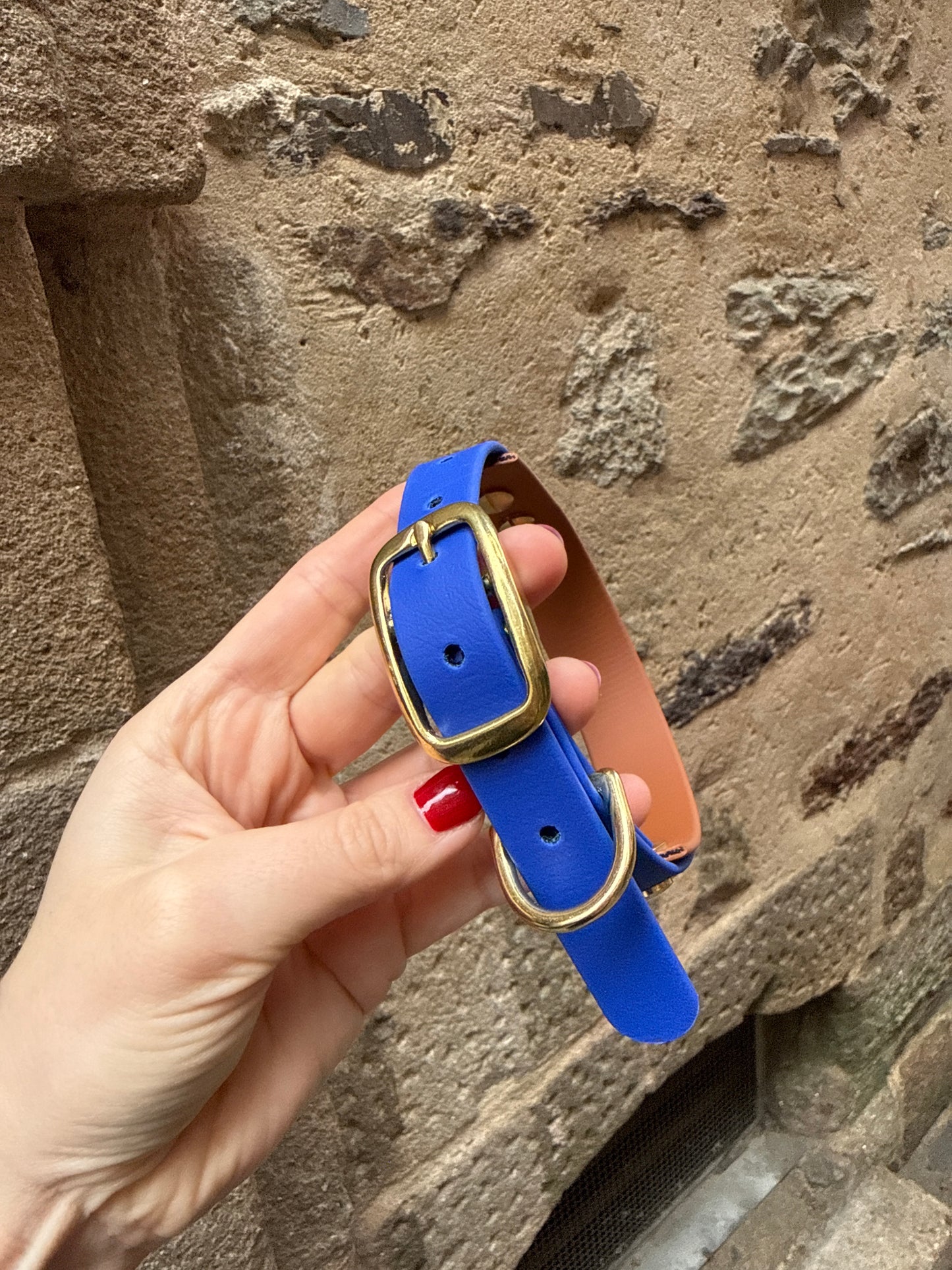 Collier Biothane - Camel & Bleu roi