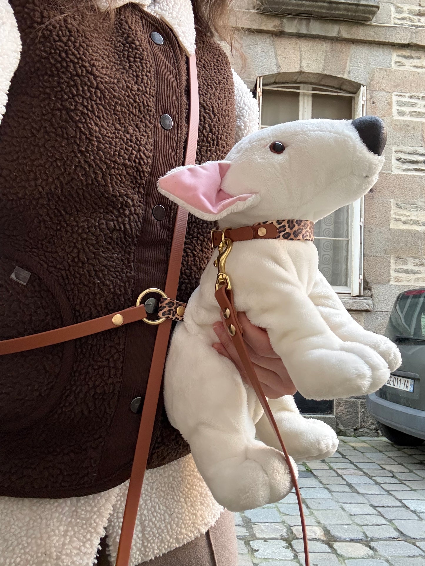 Ensemble Laisse Kit Main Libre & Collier Léopard - Petit chien