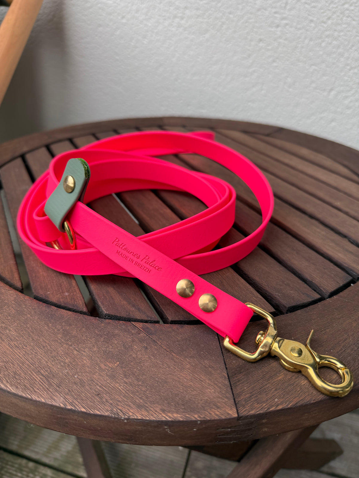 Laisse kit main libre - Biothane - Rose néon & vert sauge