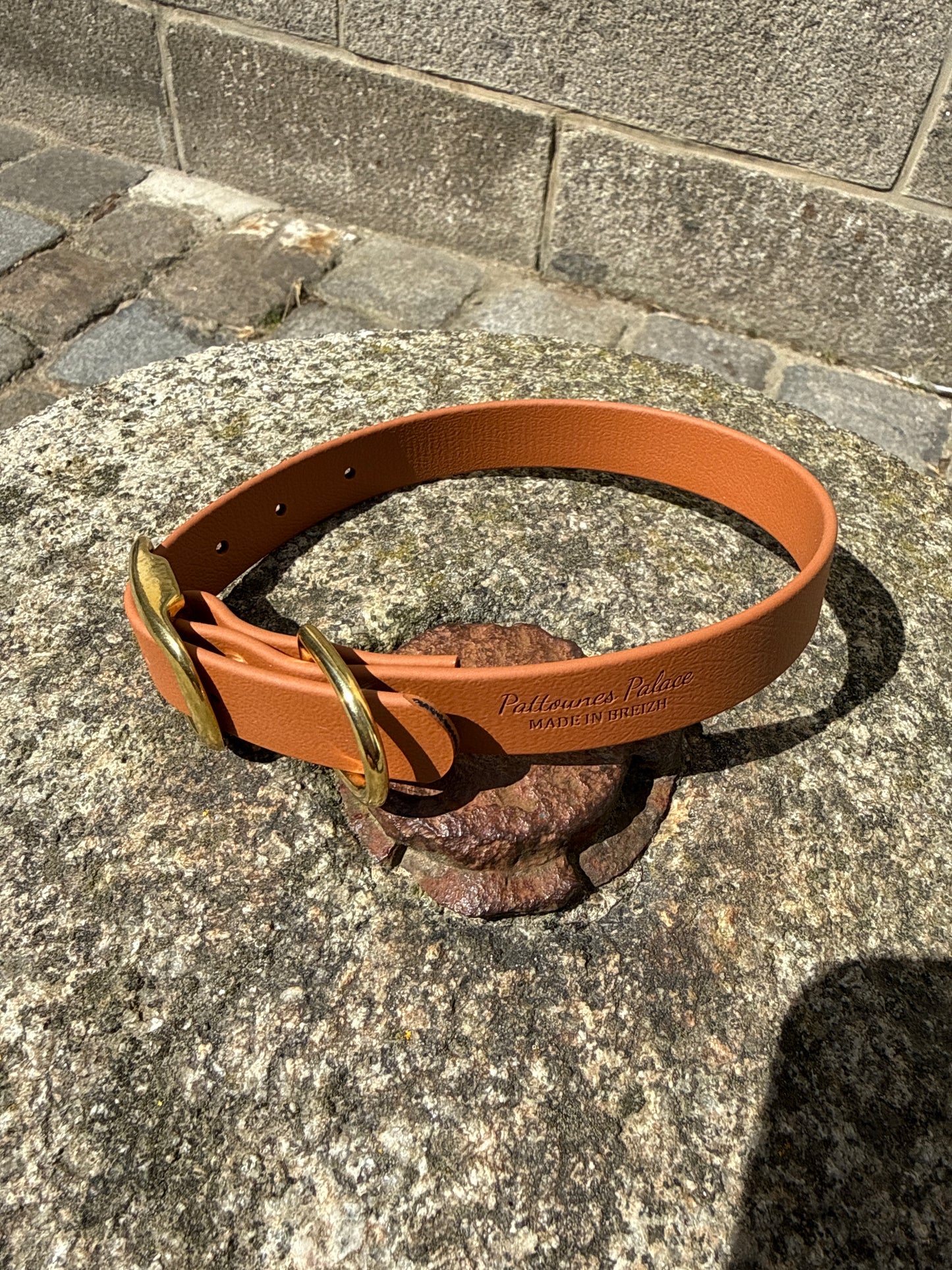 Collier pour chien évolutif -Biothane- laiton massif