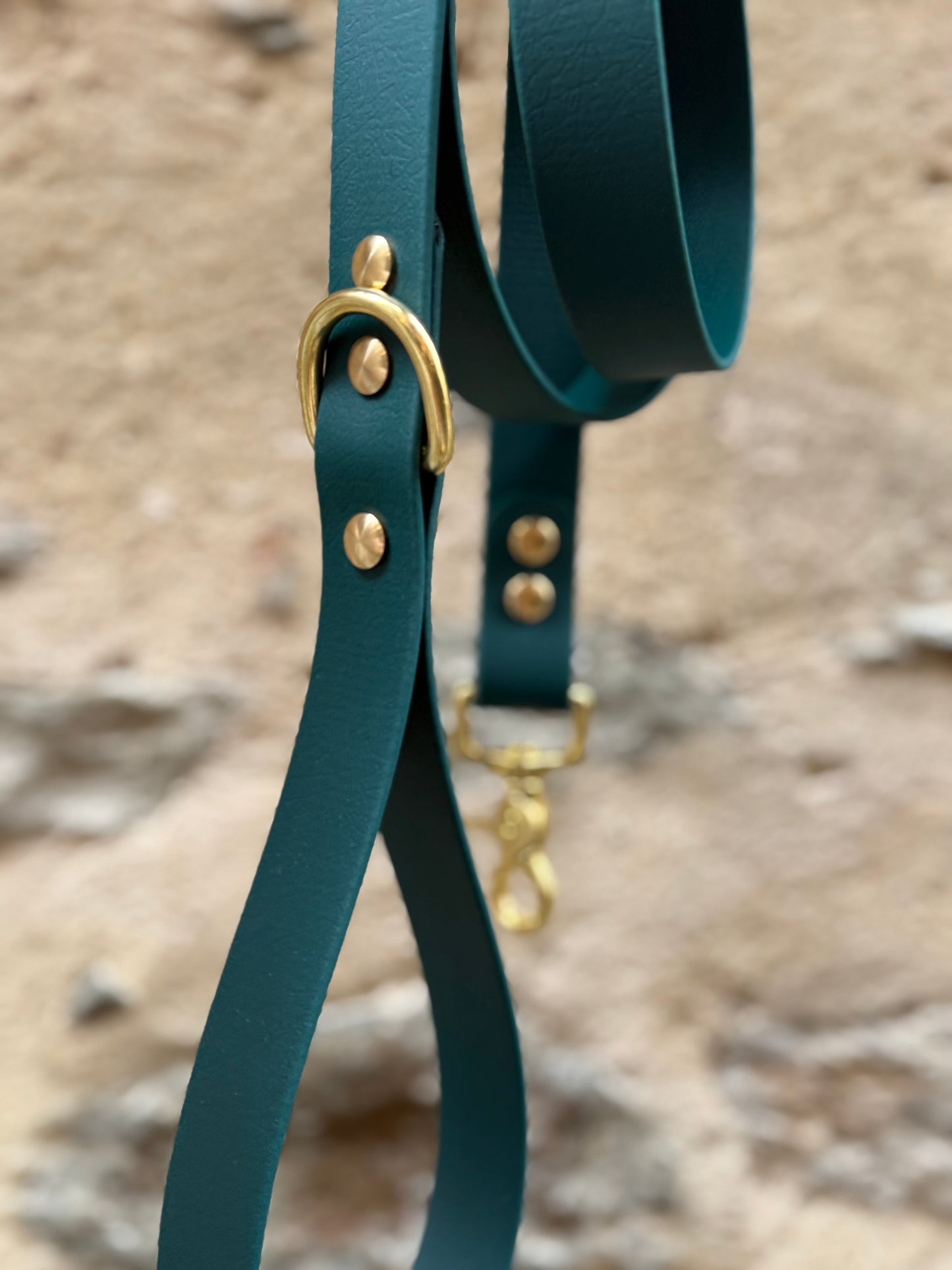 Laisse essentielle en Biothane, Large vert sapin