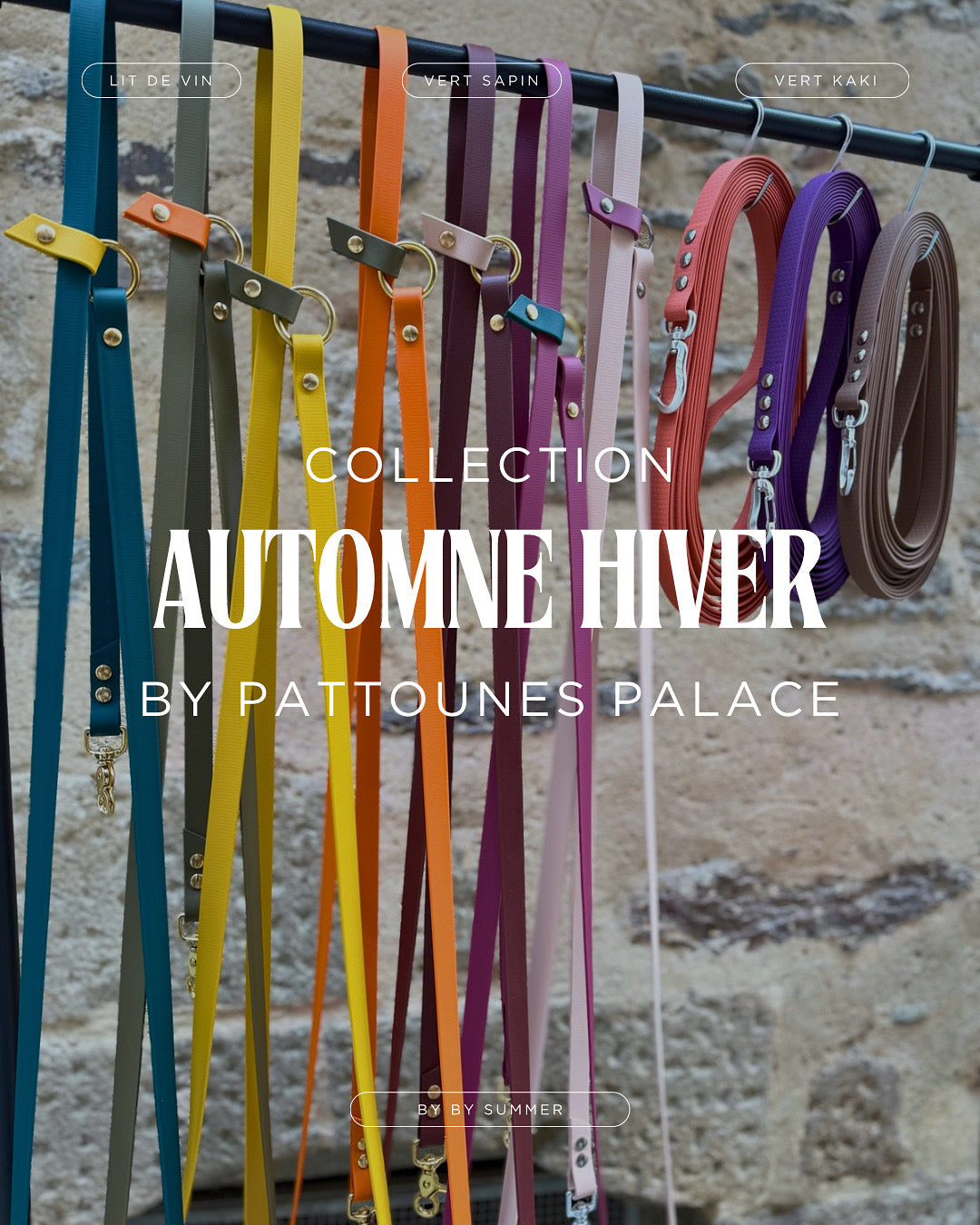 Laisse Magique coulissante multi-position 🍁