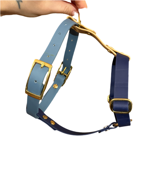 Harnais Biothane - Printemps 24