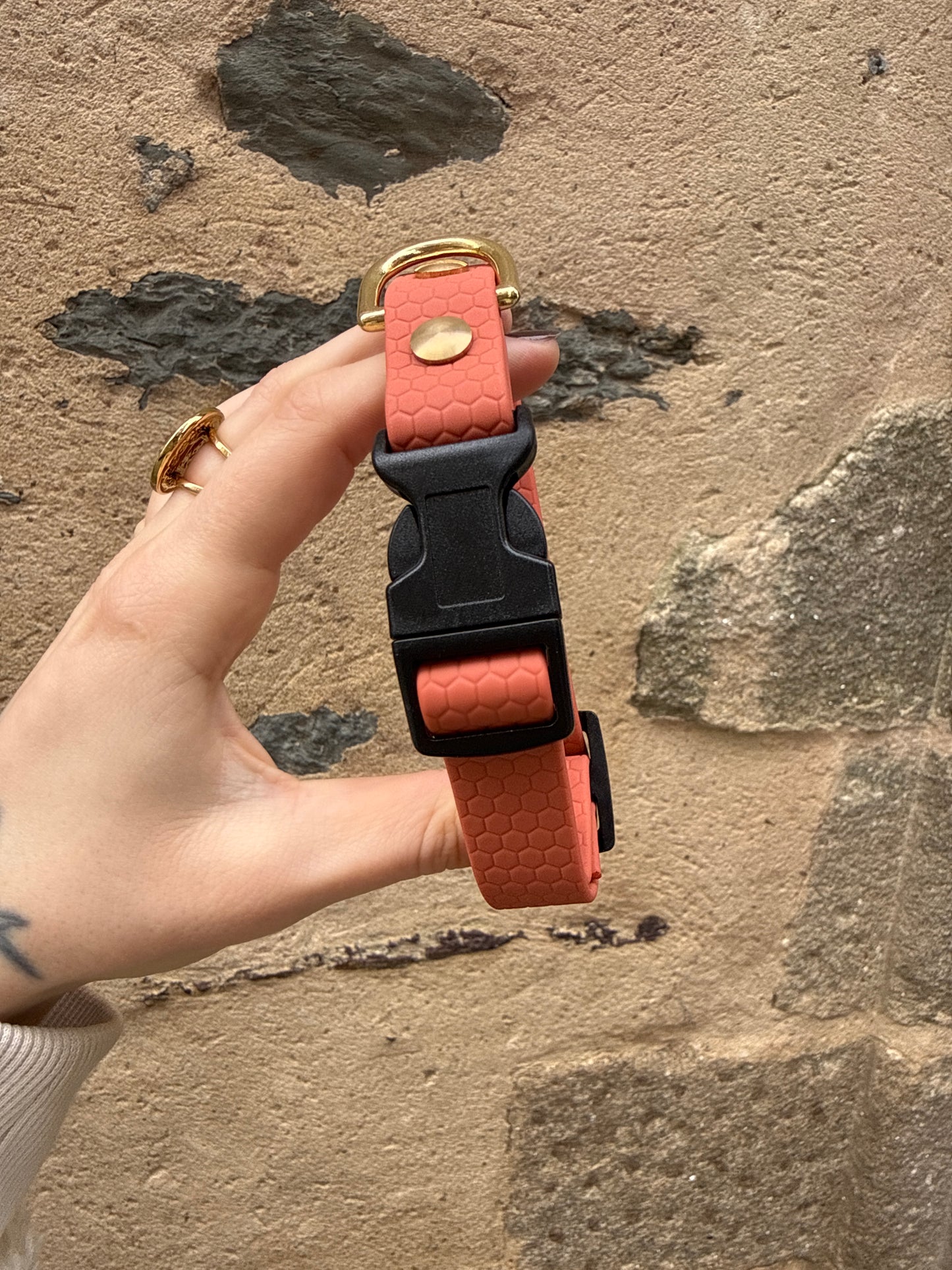 Collier Hexa XS - Spécial Chiot