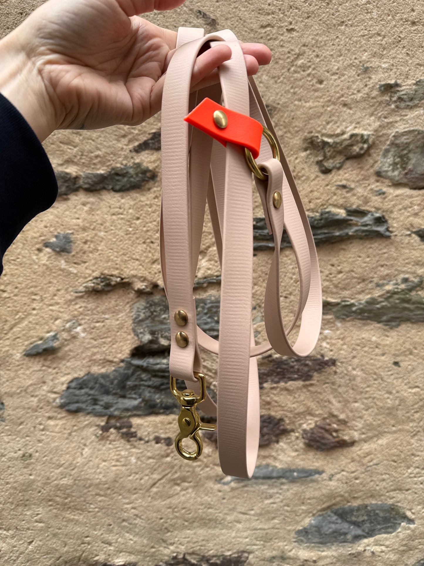 Laisse Magique coulissante mains libres🍁