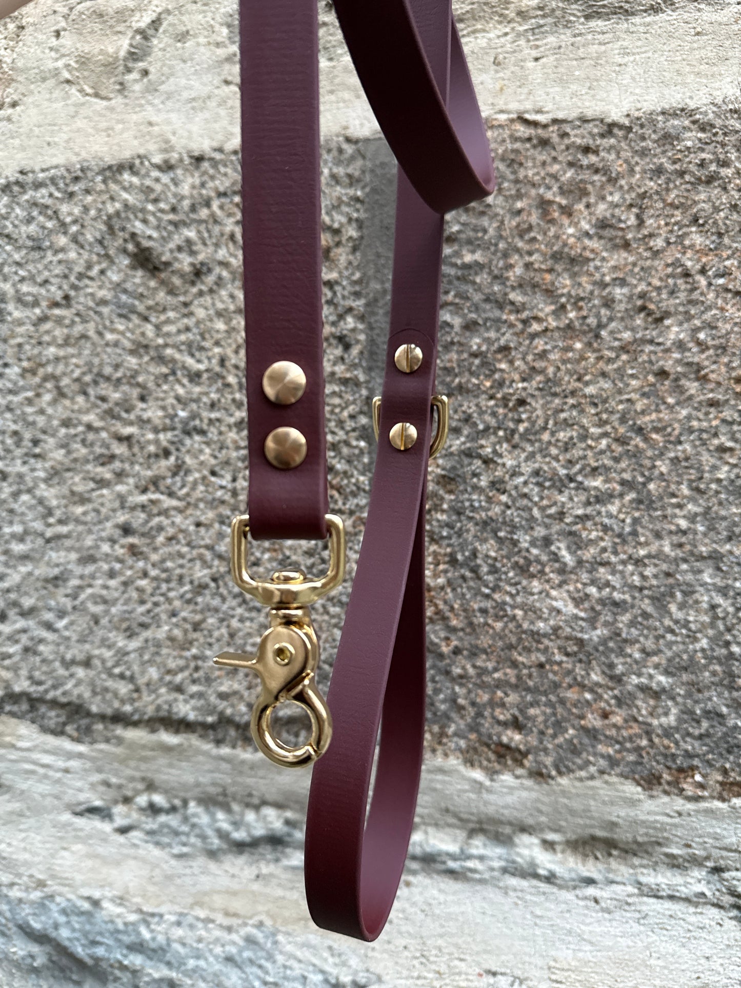 Laisse Essentielle chocolat en Biothane