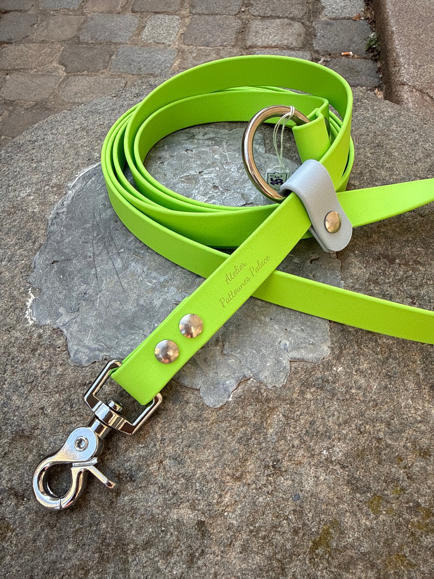 Laisse kit main libre -Biothane- Vert pomme et Bleu pastel