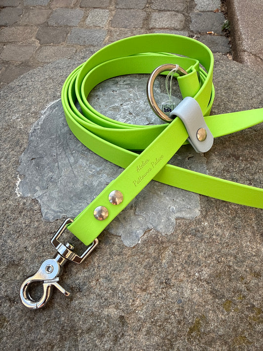 Laisse kit main libre -Biothane- Vert pomme et Bleu pastel