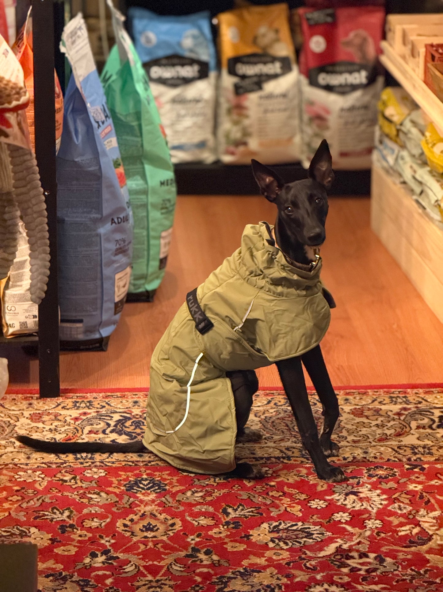 Manteau chaud - Rukka - Chien