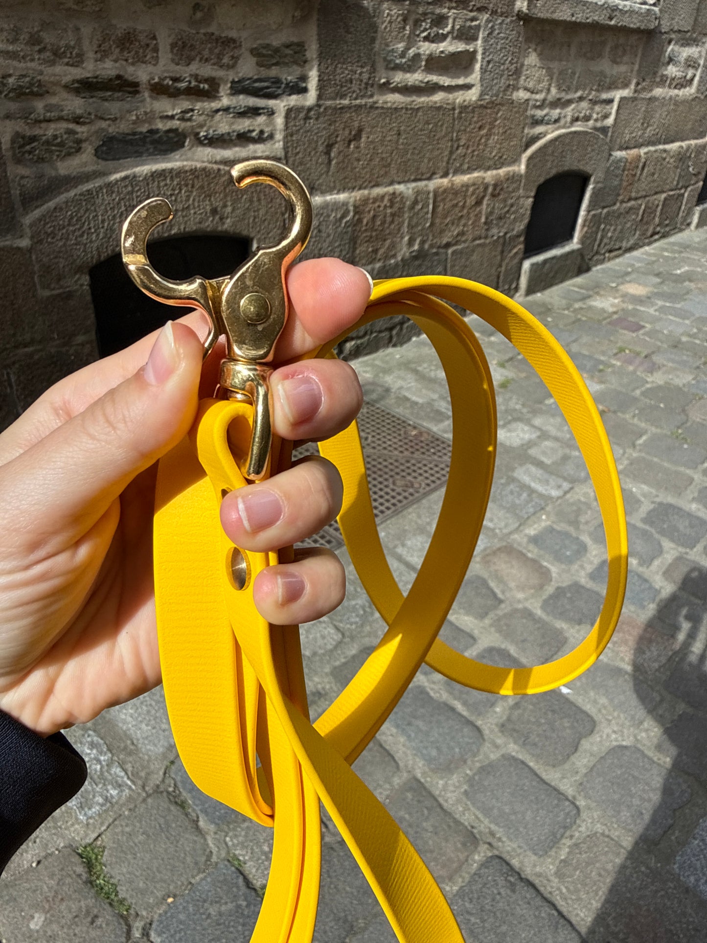 Laisse kit main libre -Biothane- jaune et camel