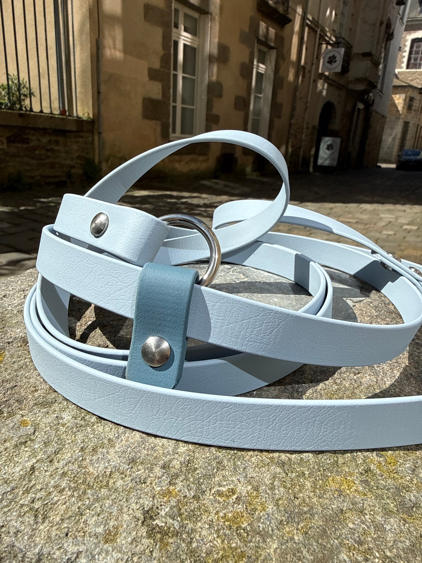 Laisse kit main libre -Biothane- multiposition