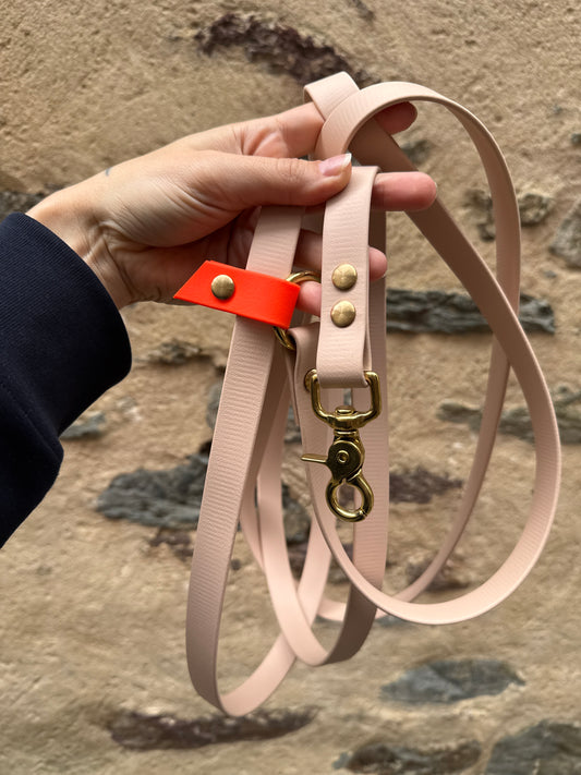 Laisse Magique coulissante mains libres🍁