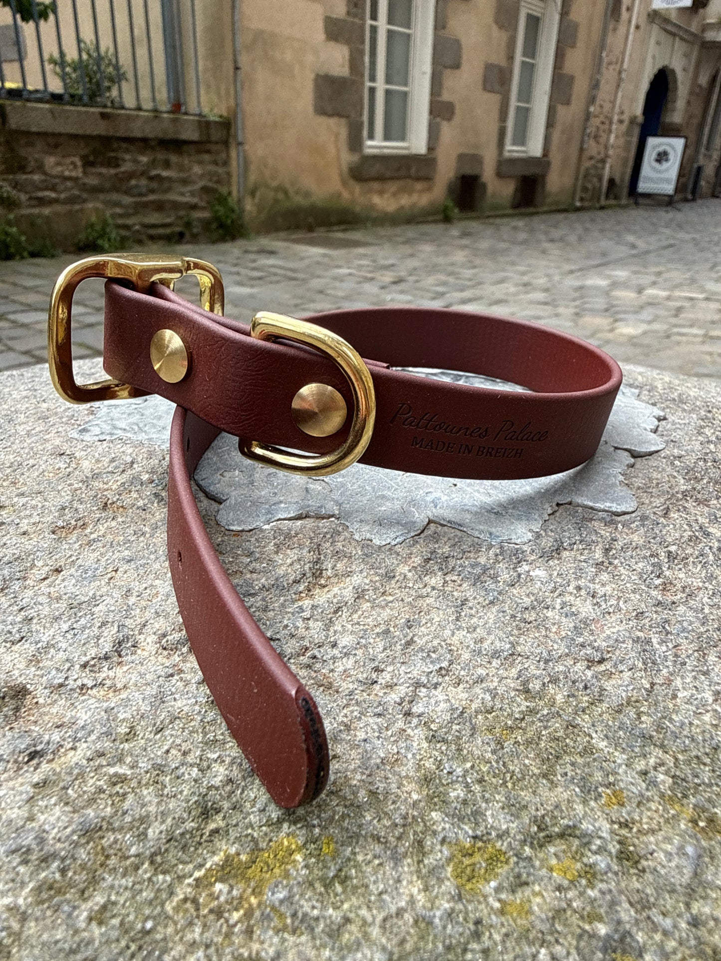 Collier pour chien évolutif -Biothane- laiton massif