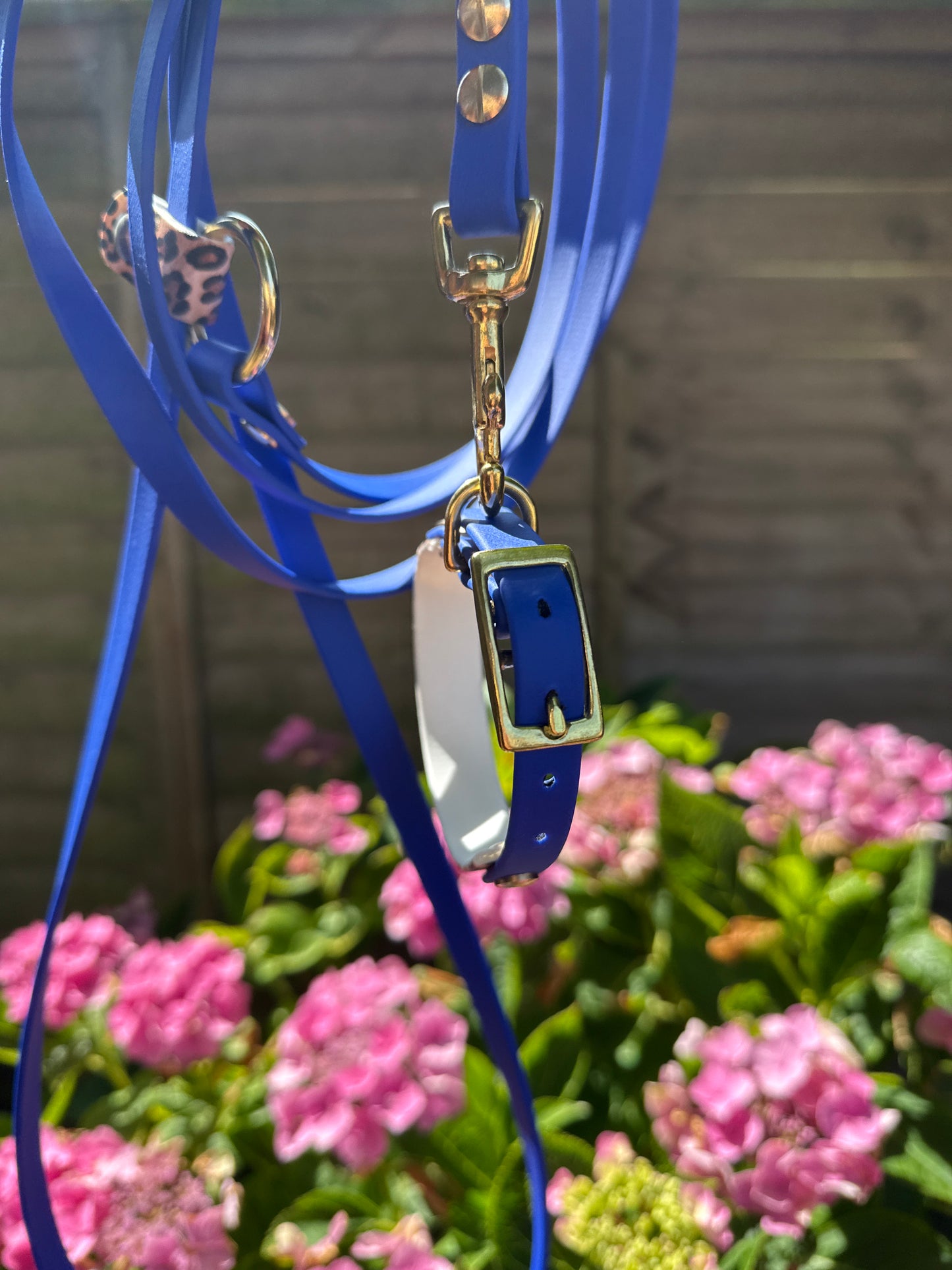 Collier Duo Mini -Biothane bleu roi & léopard