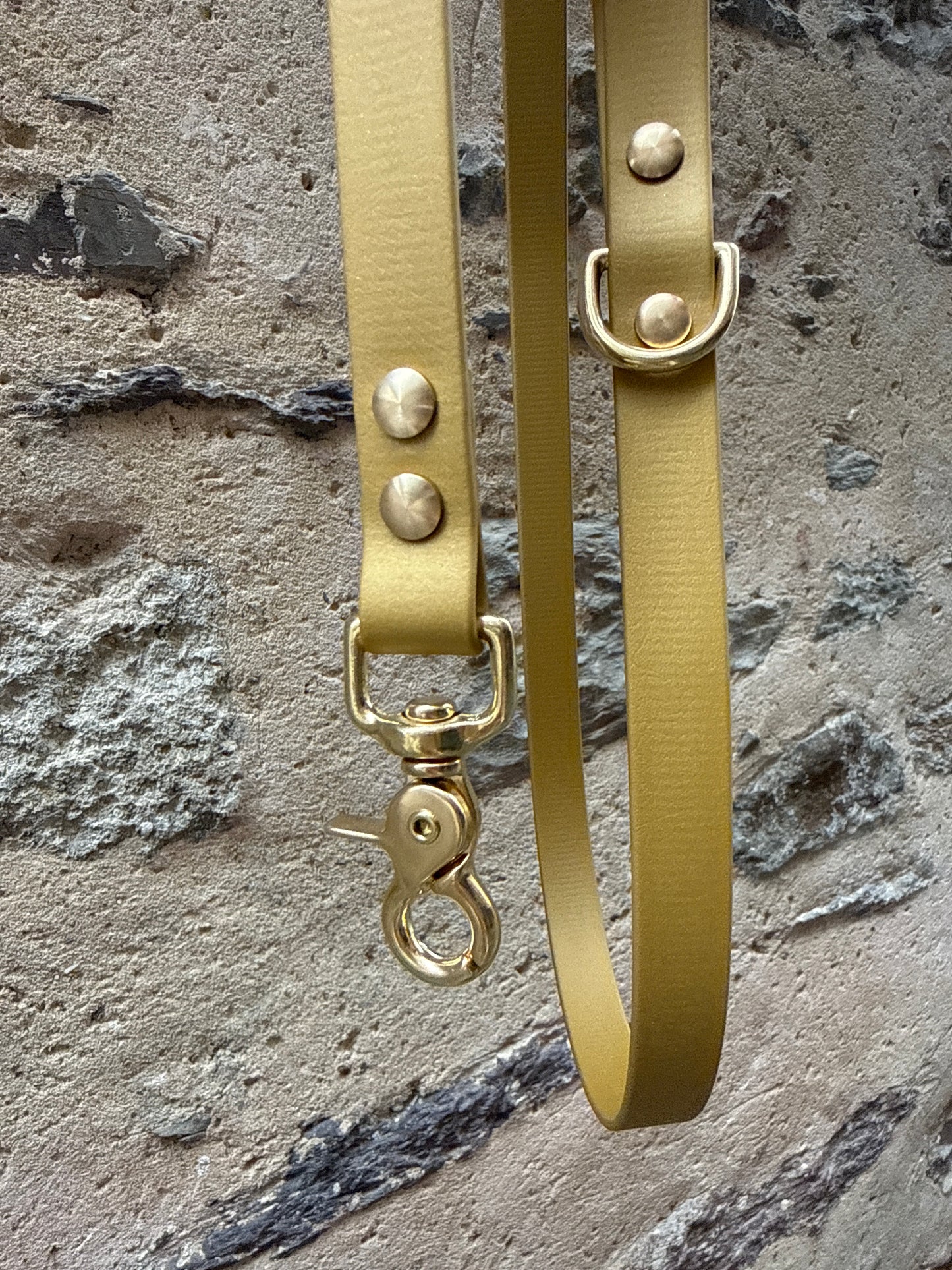 Laisse Essentielle - Edition Gold