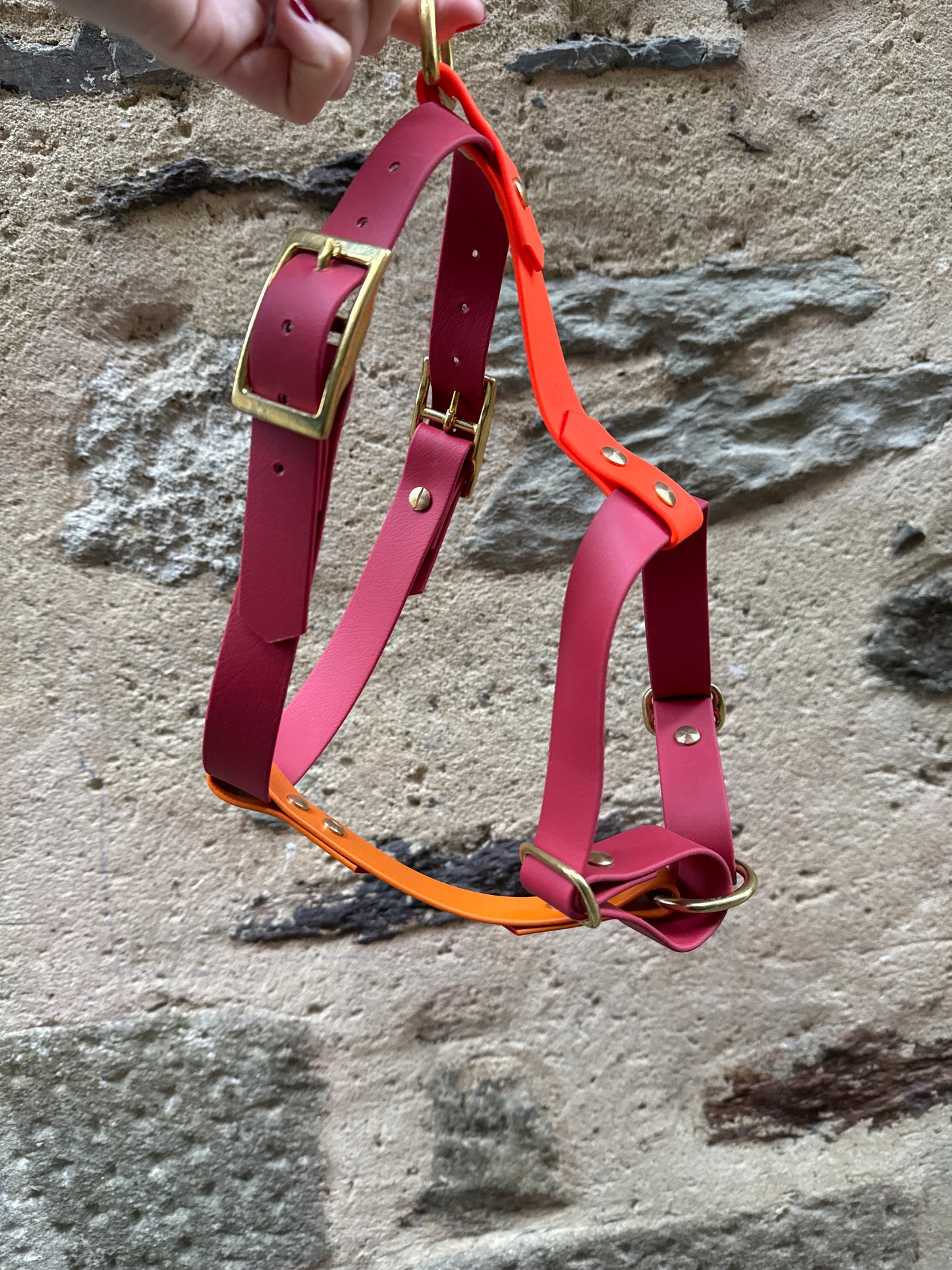 Harnais en Biothane - Automne 24