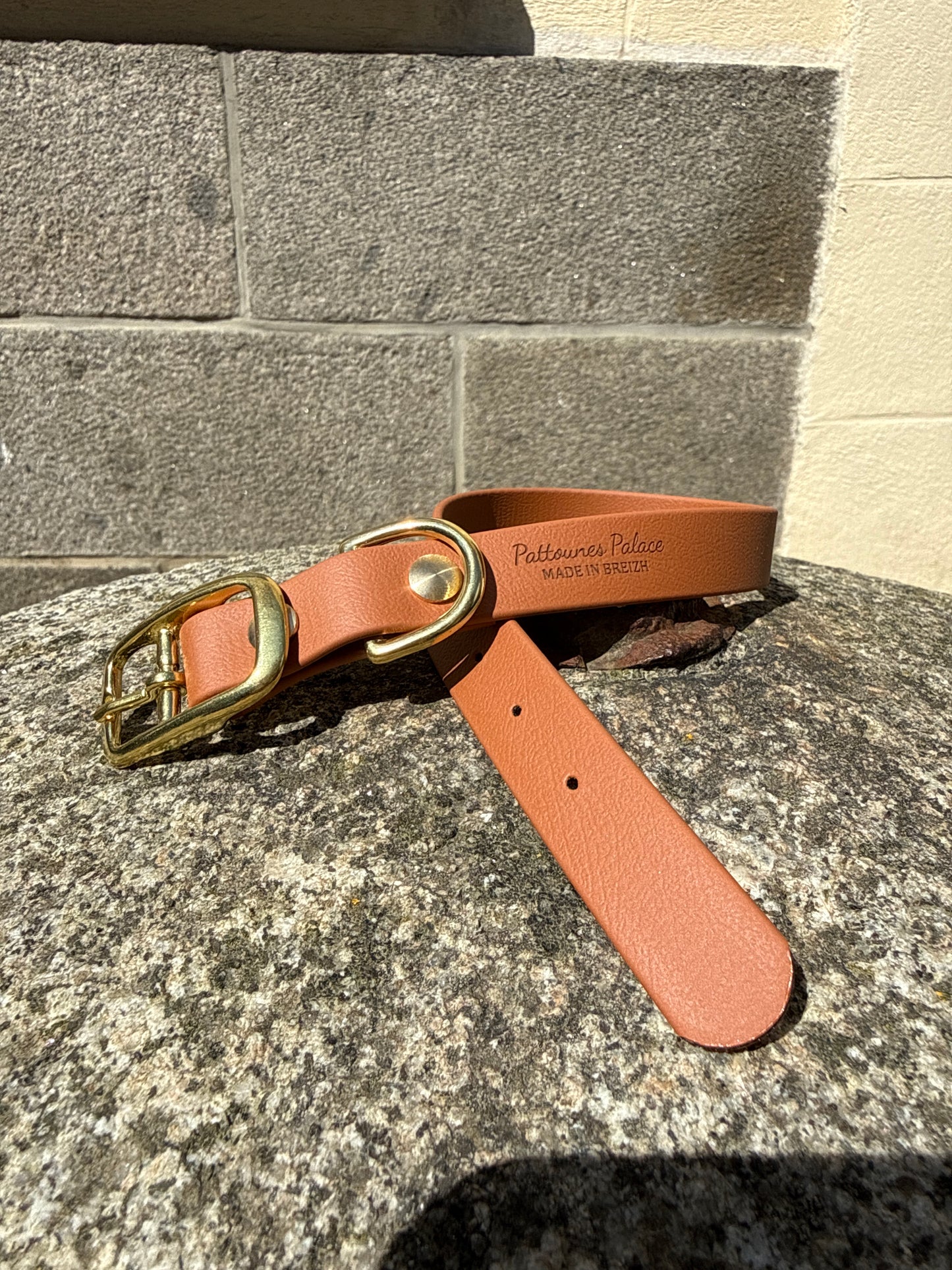 Collier pour chien évolutif -Biothane- laiton massif