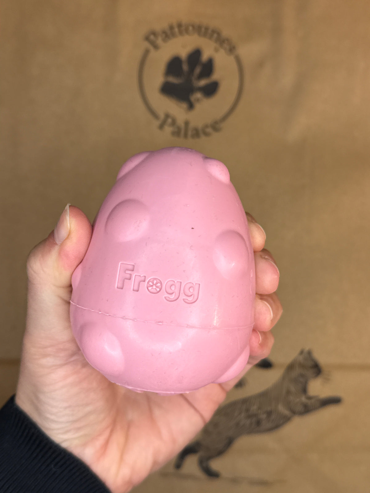 Jouet de fouille 🐶 spécial chiot « The Egg »