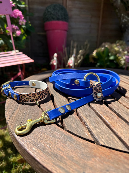 Collier Duo Mini -Biothane bleu roi & léopard