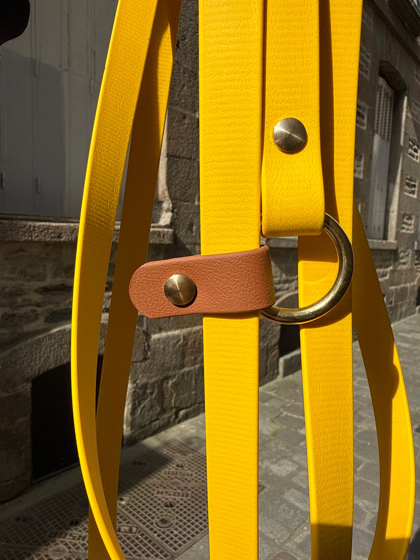 Laisse kit main libre -Biothane- jaune et camel