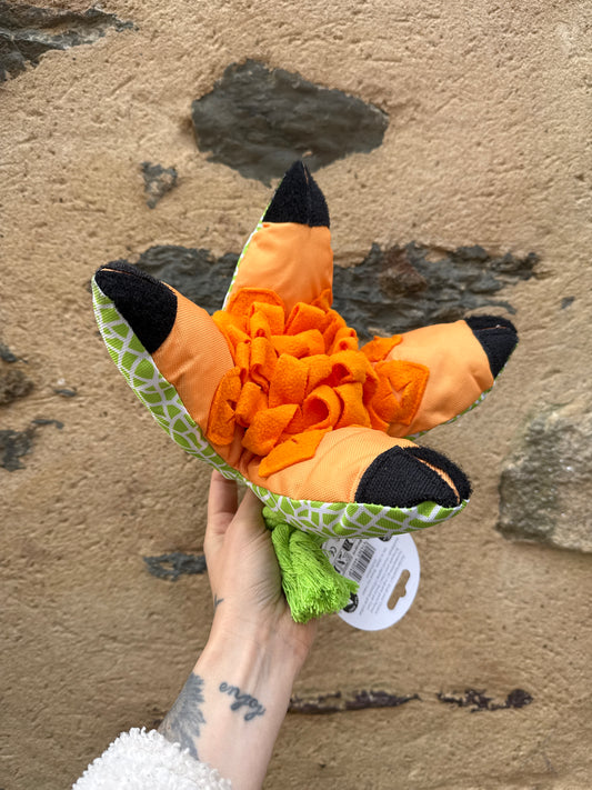 Jouet de fouille pour chien