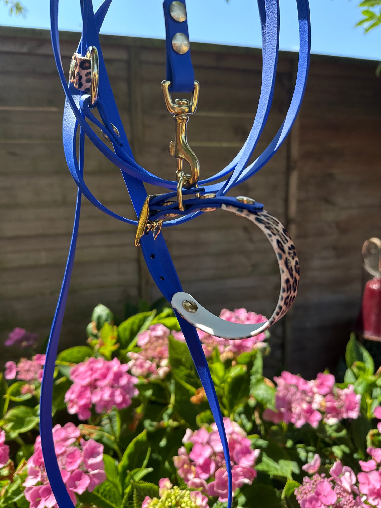 Collier Duo Mini -Biothane bleu roi & léopard